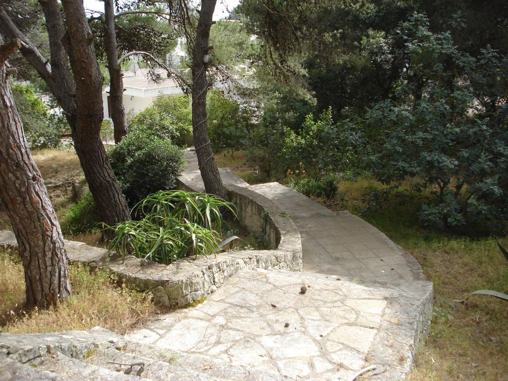 Trullo In The Wood Βίλα Nardò Εξωτερικό φωτογραφία