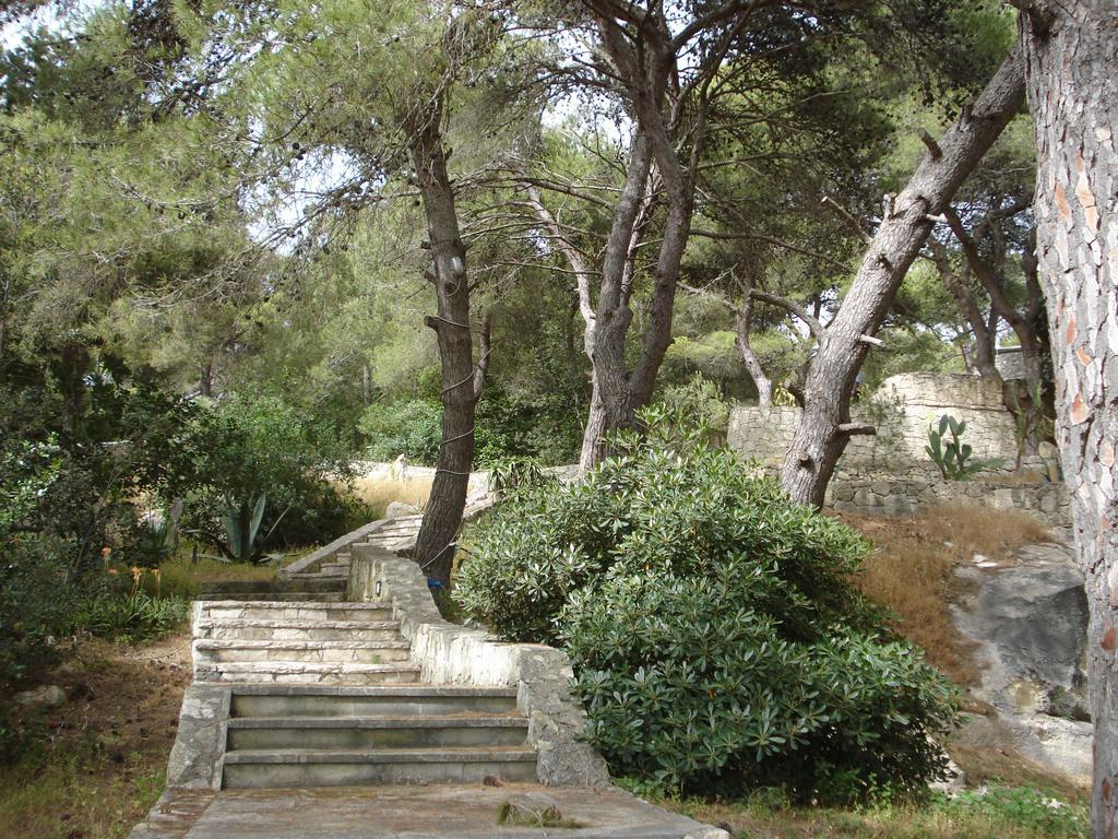 Trullo In The Wood Βίλα Nardò Εξωτερικό φωτογραφία